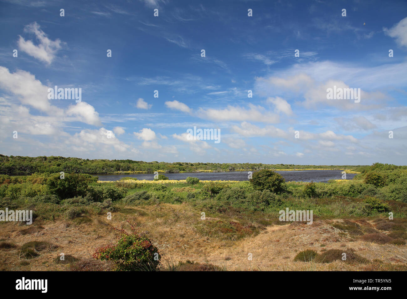 Lago De Geul nel paesaggio di dune, Paesi Bassi, Texel, Duinen van Texel Parco Nazionale Foto Stock