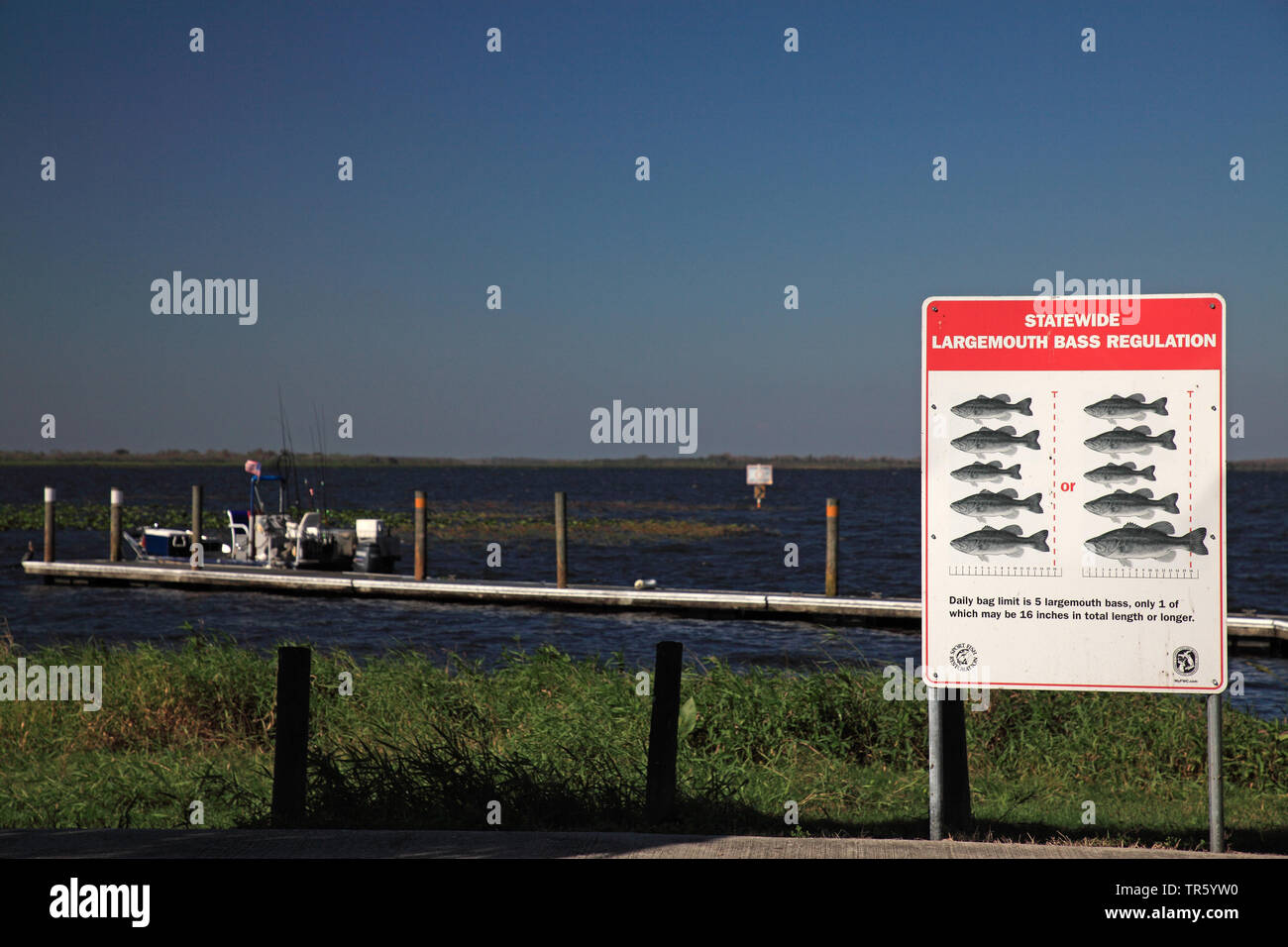Cartello con regole di cattura per largemouth basses presso il lago di Kissimmee, STATI UNITI D'AMERICA, Florida Foto Stock