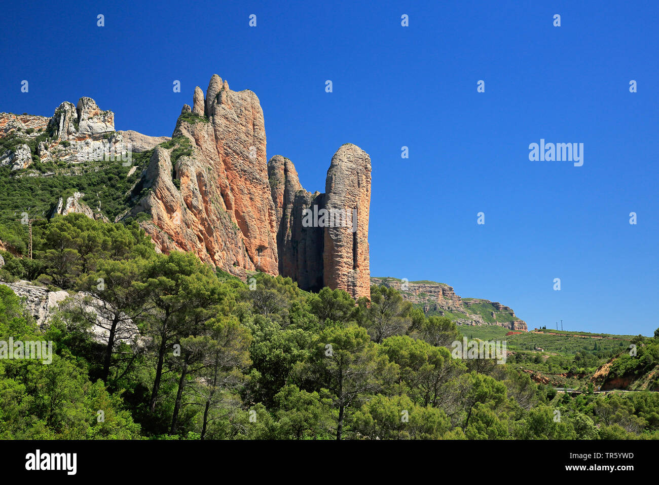 Formazione di roccia Mallos de Riglos, Spagna Aragona, Huesca Foto Stock