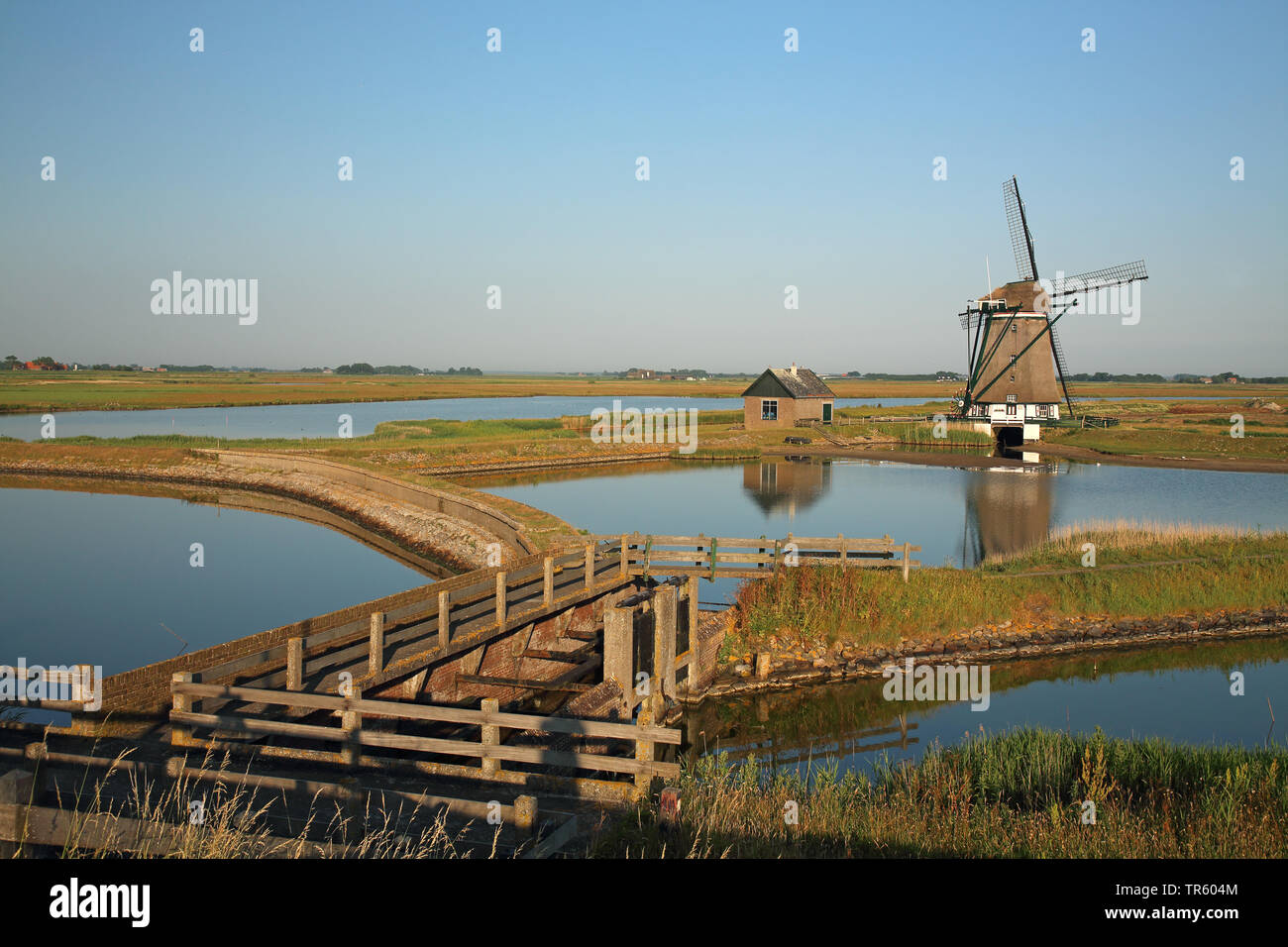 Mulino a vento Het Noorden, Paesi Bassi, Texel, De Bol, Ostenda Foto Stock