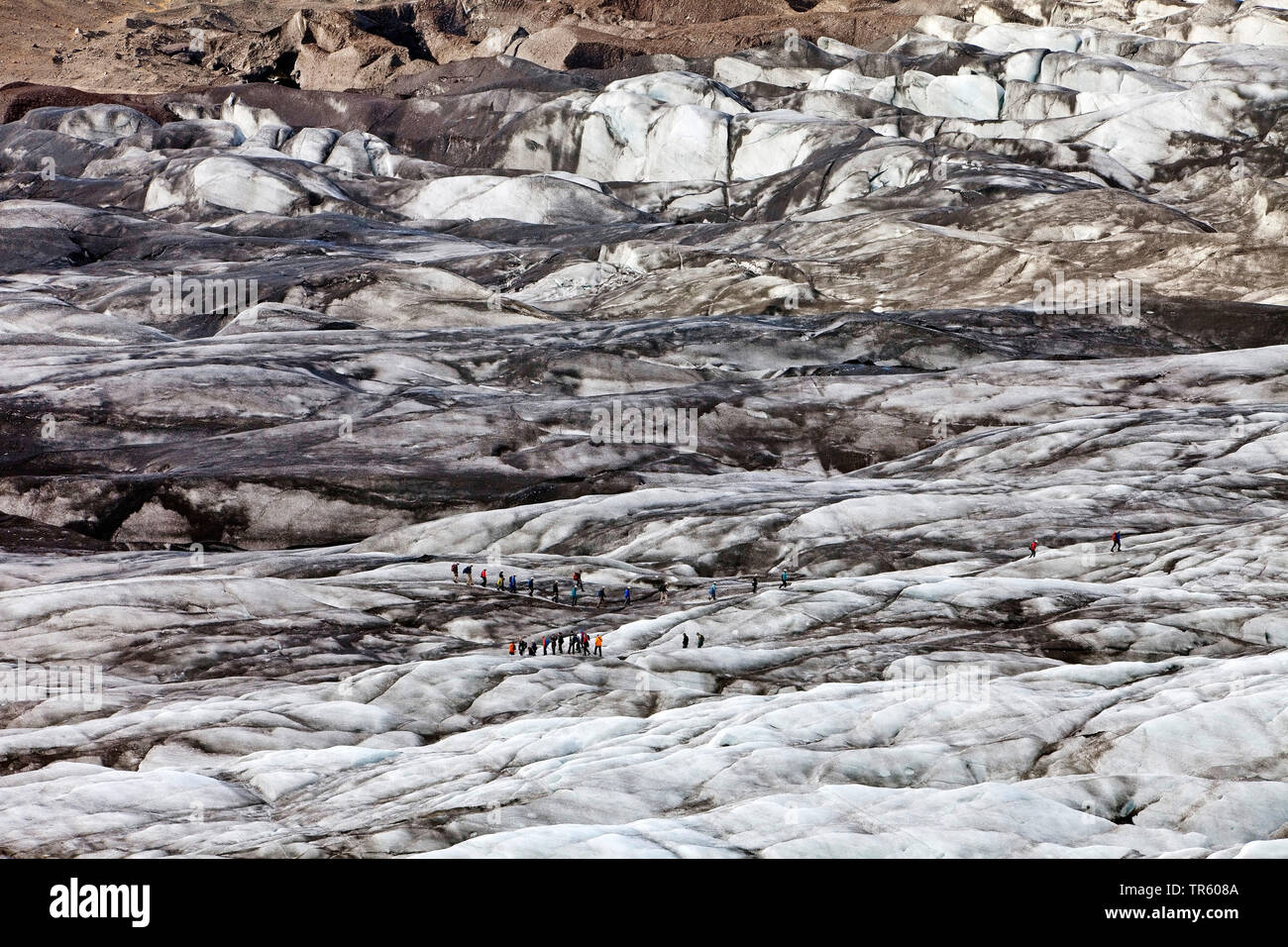 Persone sul ghiacciaio in Svinafellsjoekull Vatnajoekull National Park, Hornarfjoerdur, Islanda, Est Islanda, Vatnajoekull National Park, Svinafellsjoekull Foto Stock