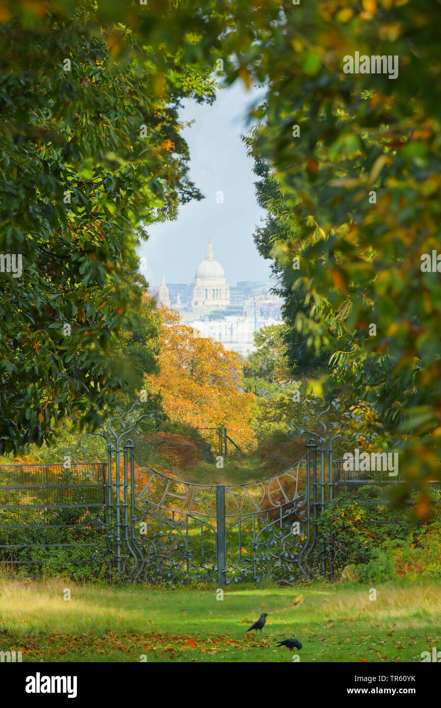 Vista dal Re Enrico il Tumulo alla Cattedrale di St Paul, Regno Unito, Inghilterra, Richmond Park Foto Stock