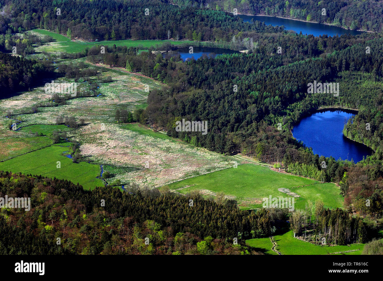 Valle Hellbach e laghi di Schwarzsee Lottsee e Krebssee, vista aerea, Germania, Schleswig-Holstein Foto Stock