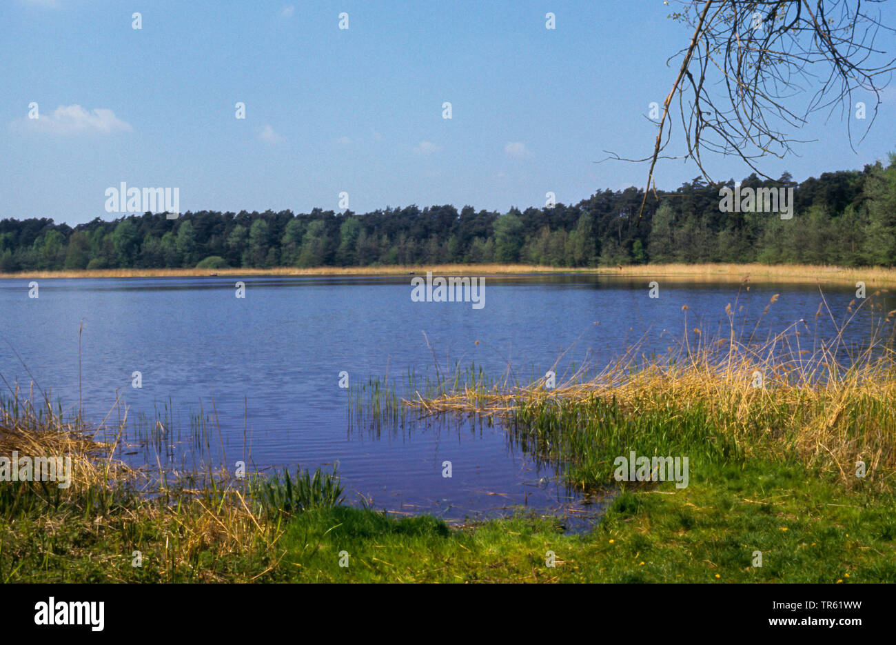 Lago Sarnekower vedere, Germania, Schleswig-Holstein Foto Stock