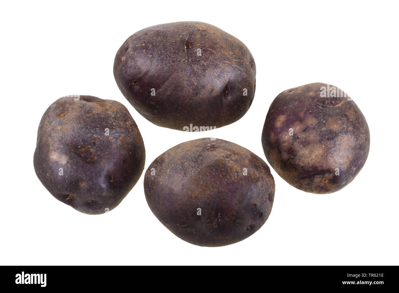 Patata (solanum tuberosum Vitelotte), patate di cultivar Vitelotte, ritaglio Foto Stock