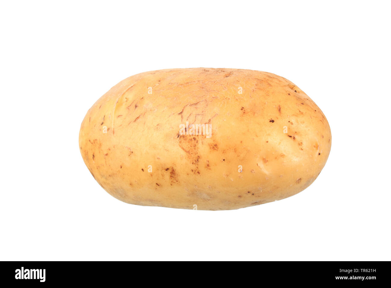 Patata (solanum tuberosum talento), patata cultivar di talento, ritaglio Foto Stock