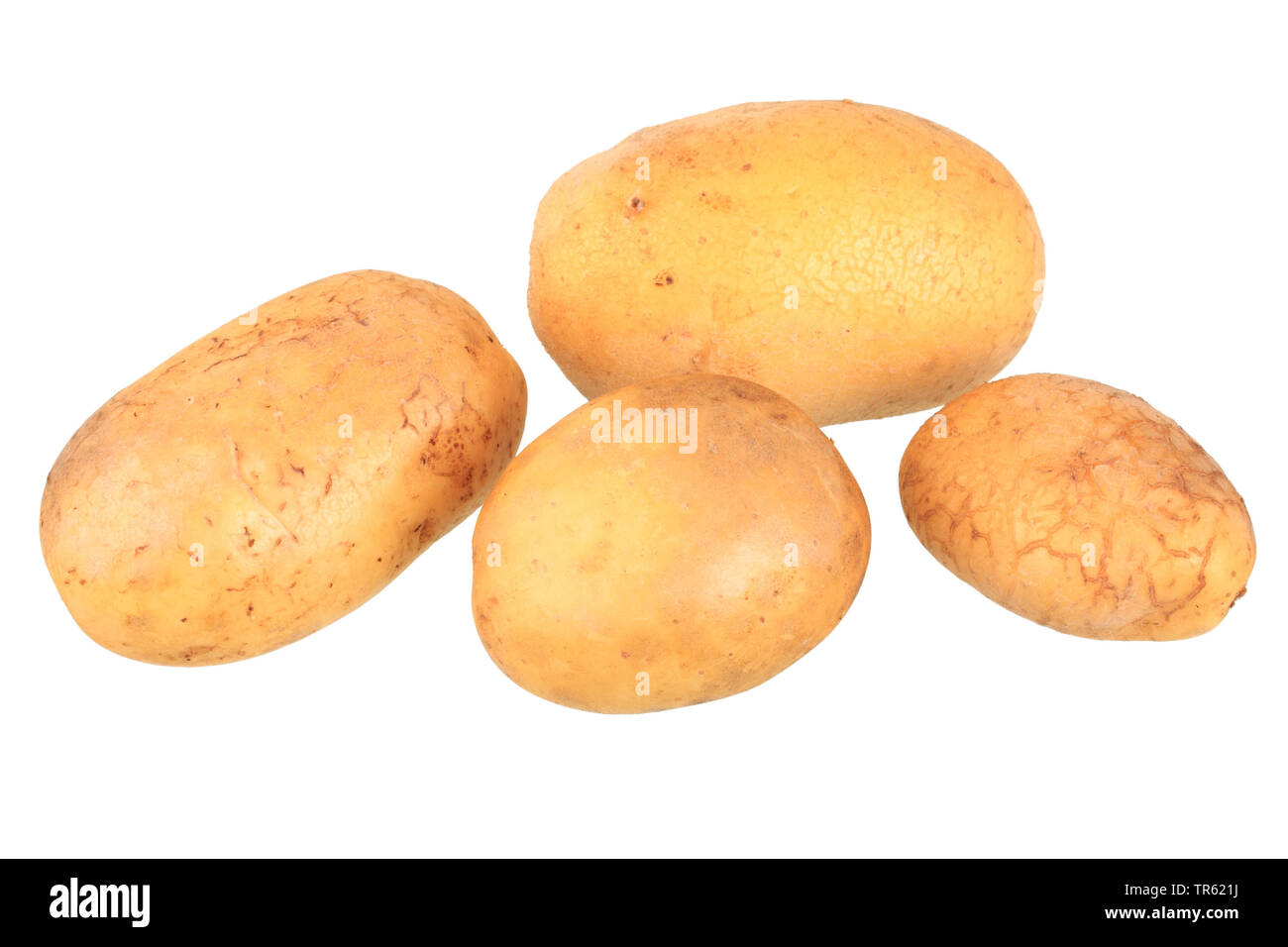 Patata (solanum tuberosum talento), patate di cultivar di talento, ritaglio Foto Stock