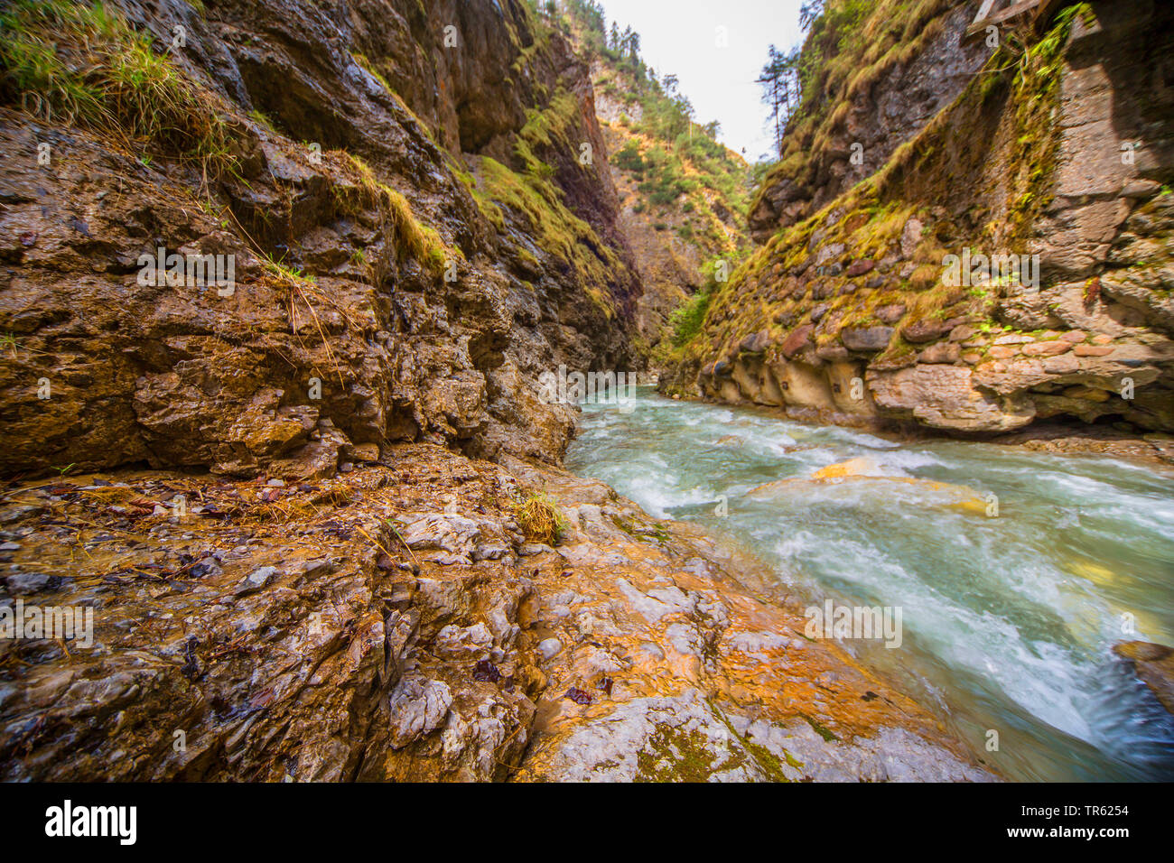 Burrone con il torrente di montagna, Austria, Tirolo Foto Stock