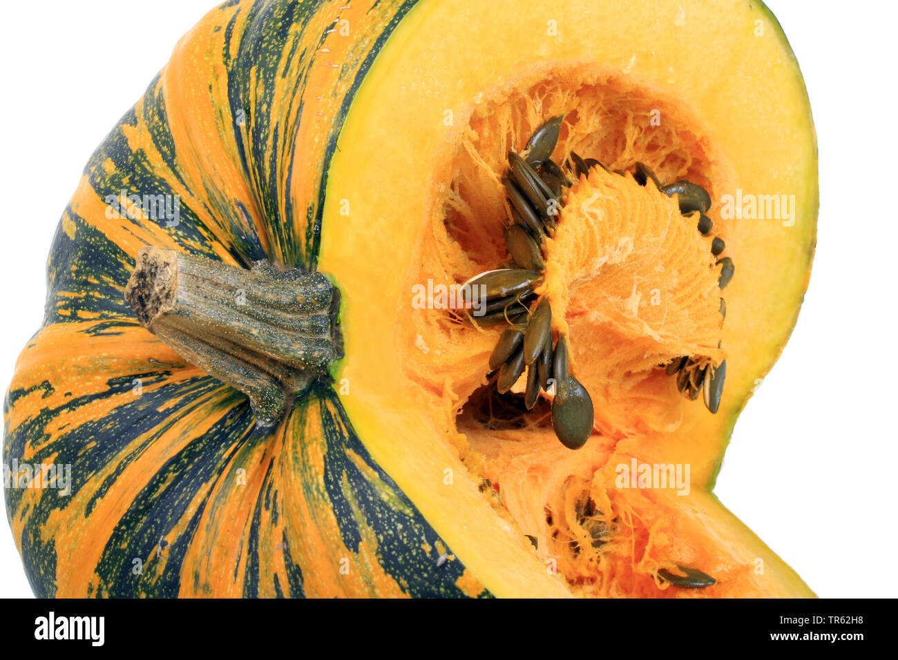Zucca della Stiria, olio della Stiria zucca (Cucurbita pepo var. styriaca), la zucca di cultivar Steirischer Oelkuerbis stiriano zucca olio Foto Stock