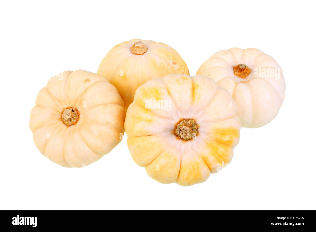 Zucca ornamentale (Cucurbita pepo convar. microcarpina), cultivar Baby Boo, ritaglio Foto Stock