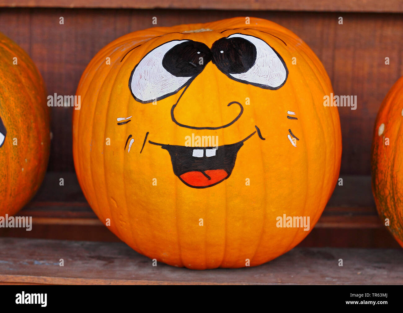 Di midollo osseo, campo di zucca (Cucurbita pepo), faccia dipinta su una zucca Foto Stock
