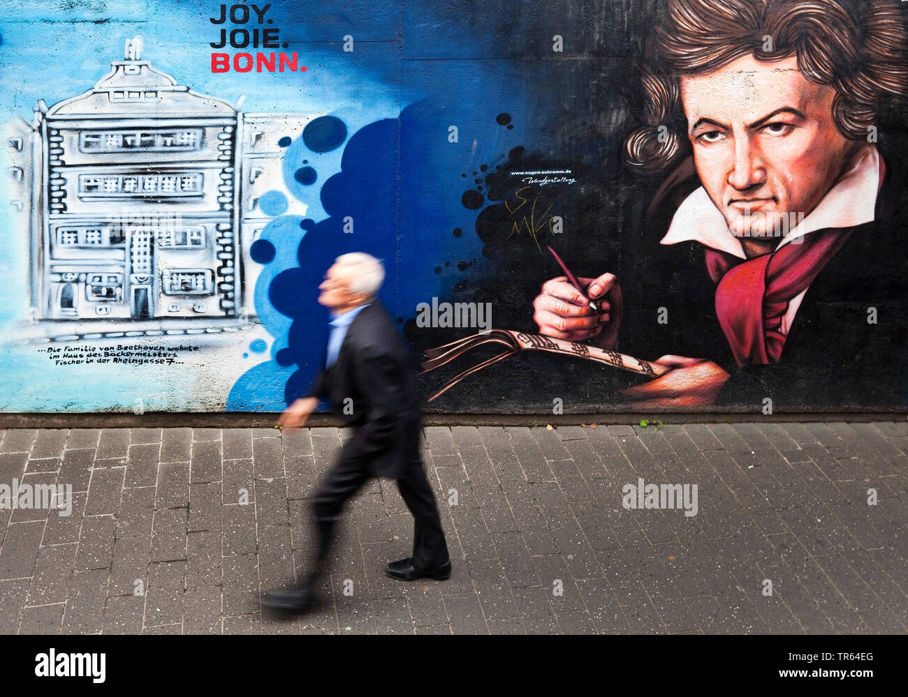 Ludwig van Beethoven dipinto murale nella città vecchia, Germania, nella Renania settentrionale-Vestfalia e nella Renania, Bonn Foto Stock