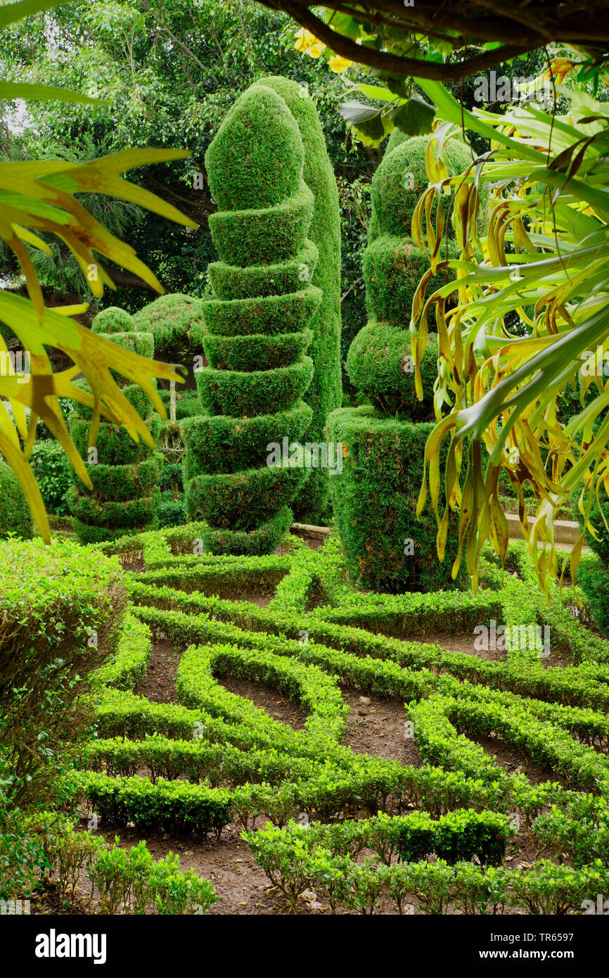 Topiaria da nel Giardino Botanico di Funchal Portogallo, la Madera, Funchal Foto Stock