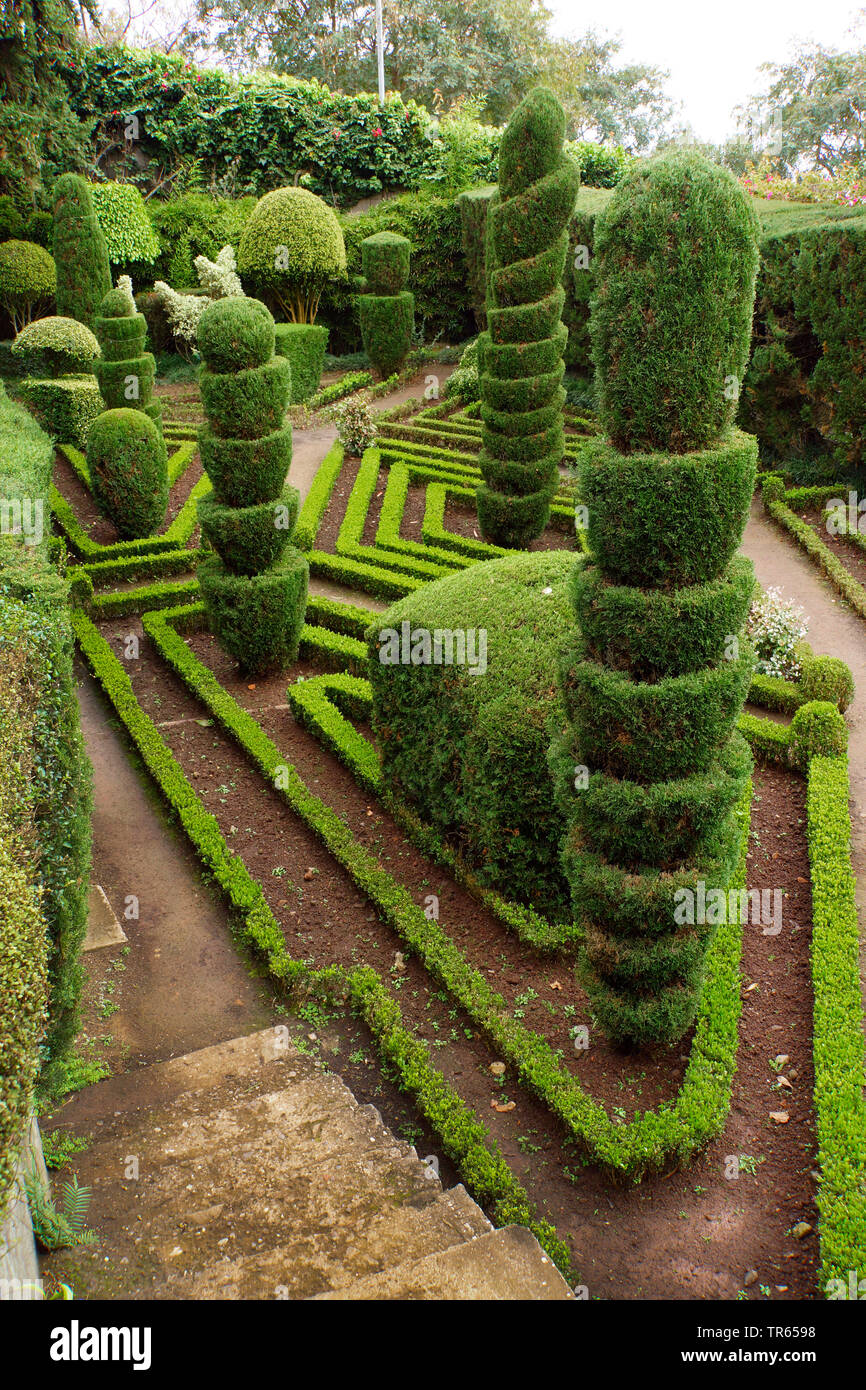 Topiaria da nel Giardino Botanico di Funchal Portogallo, la Madera, Funchal Foto Stock