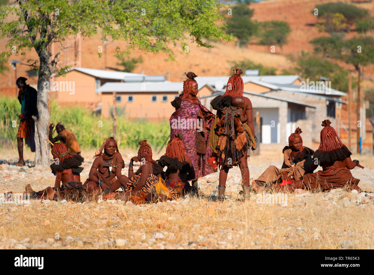 Un gruppo di donne himba, Namibia Foto Stock