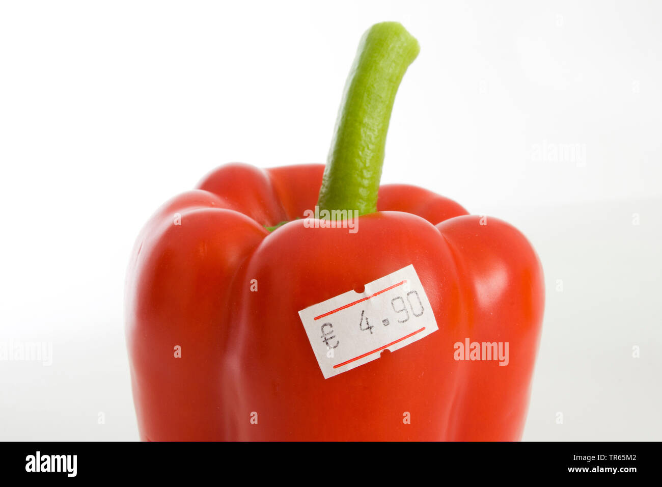 Peperoncino, paprica (Capsicum annuum), costoso paprika, bio paprica, Germania Foto Stock