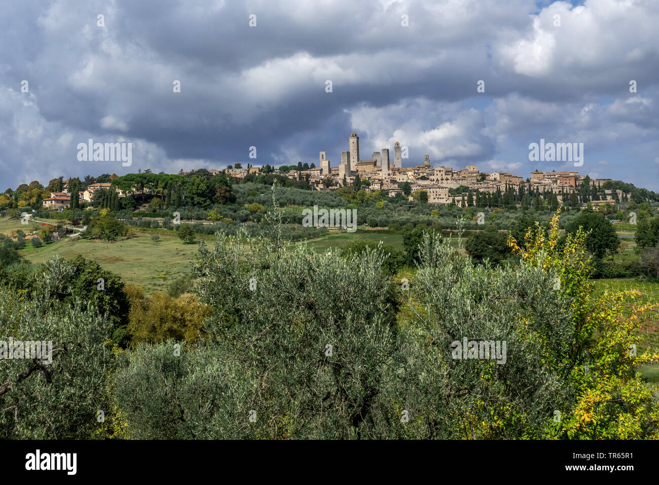 San Gimignano, Italia, Toscana, San Gimignano Foto Stock