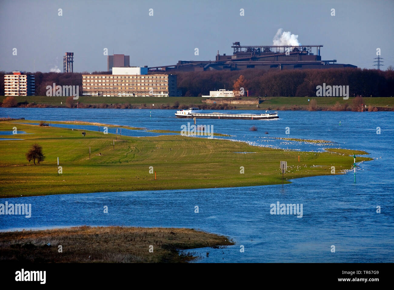 Acqua alta del fiume Reno con la nave da carico e Thyssenkrupp impianto, in Germania, in Renania settentrionale-Vestfalia, la zona della Ruhr, Duisburg Foto Stock