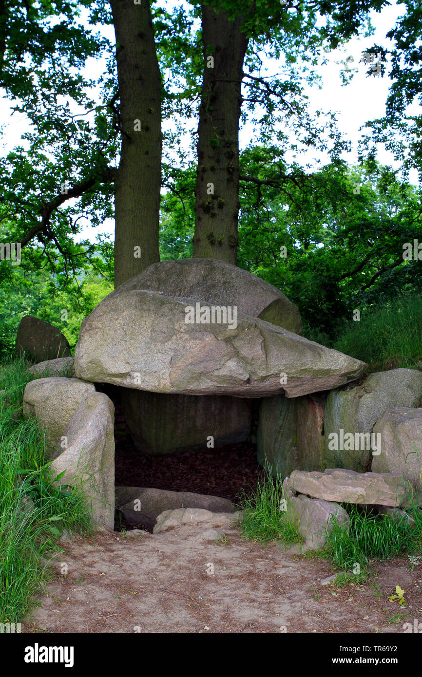 Lancken-Granitz dolmen, Germania, Meclemburgo-Pomerania, Ruegen, Lancken-Granitz Foto Stock