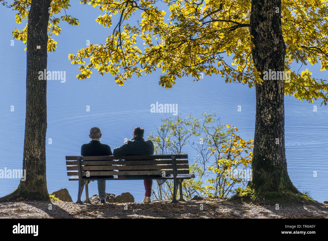 Giovane su una panchina in riva al lago di Kochel in autunno, in Germania, in Baviera, Oberbayern, Alta Baviera, Kochel am See Foto Stock