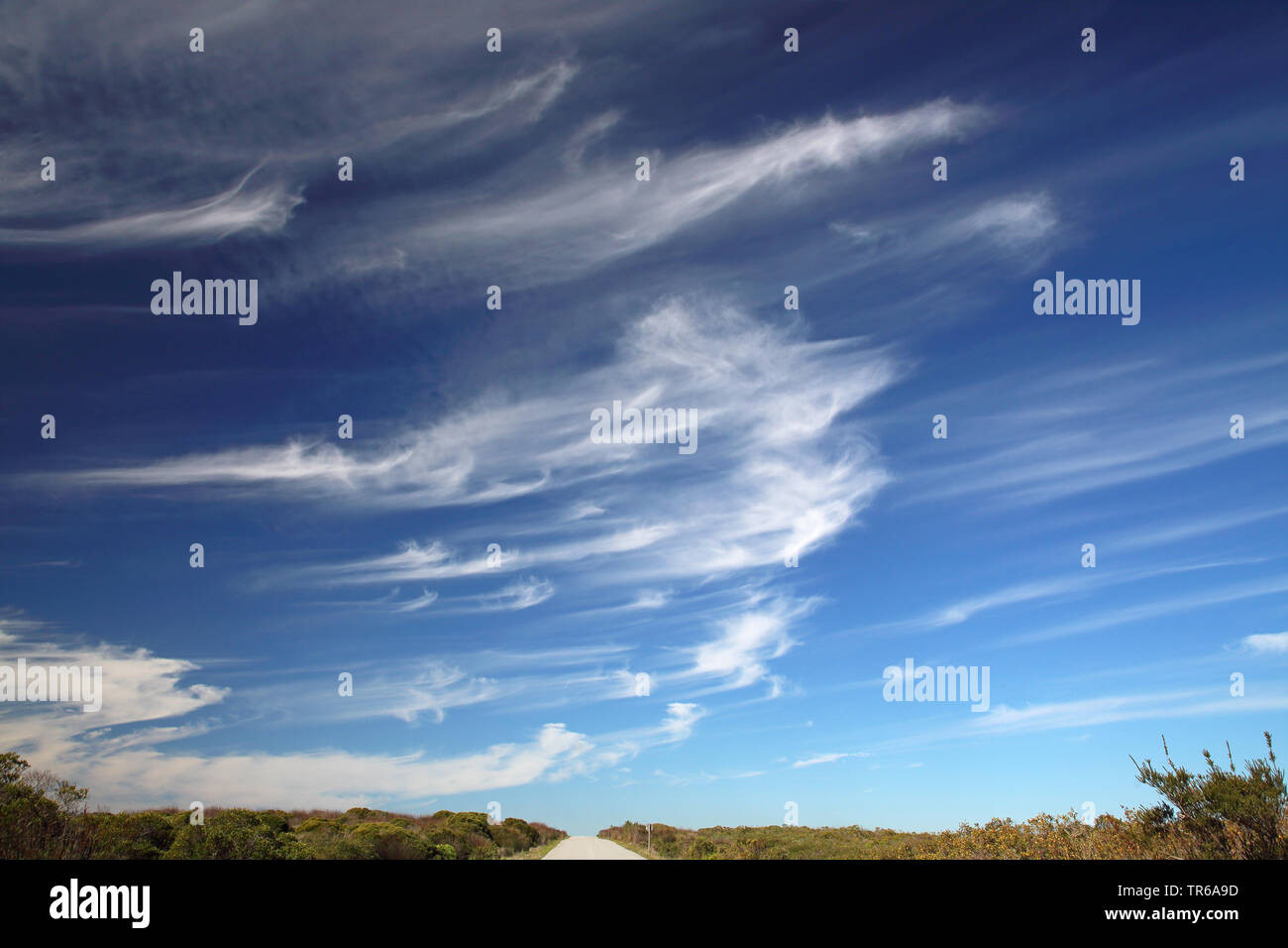 Cirrus nuvole, Sud Africa, Western Cape, West Coast National Park Foto Stock