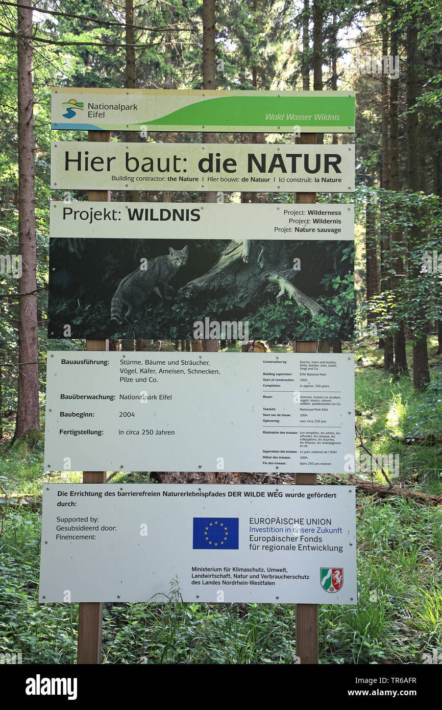 Eifel Nationap Park Informazioni segno al sentiero natura Wilder Weg, in Germania, in Renania settentrionale-Vestfalia, Eifel National Park, Heimbach Foto Stock