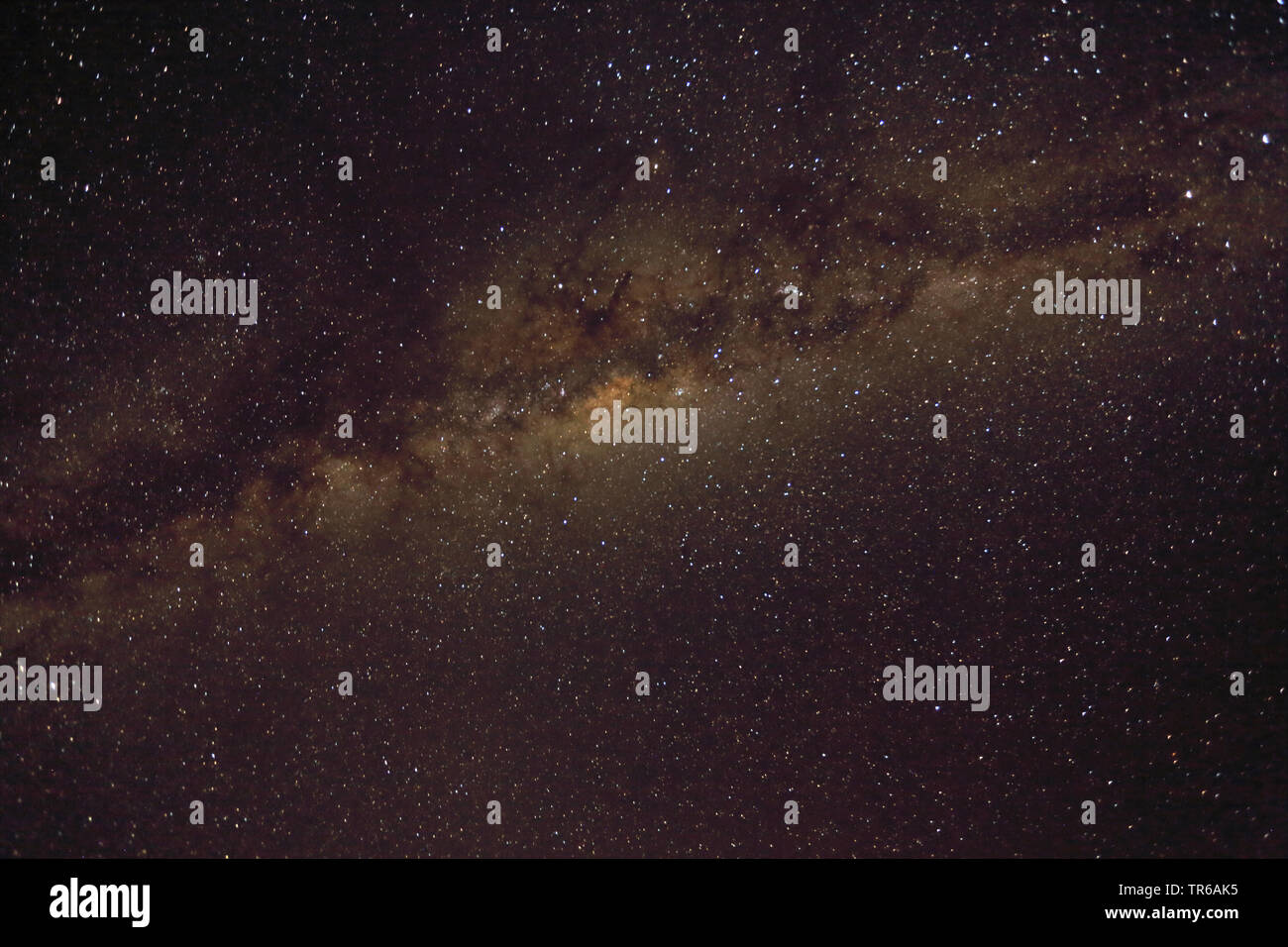 Notte stellata e la via lattea, Sud Africa, Kgalagadi transfrontaliera Parco Nazionale Foto Stock