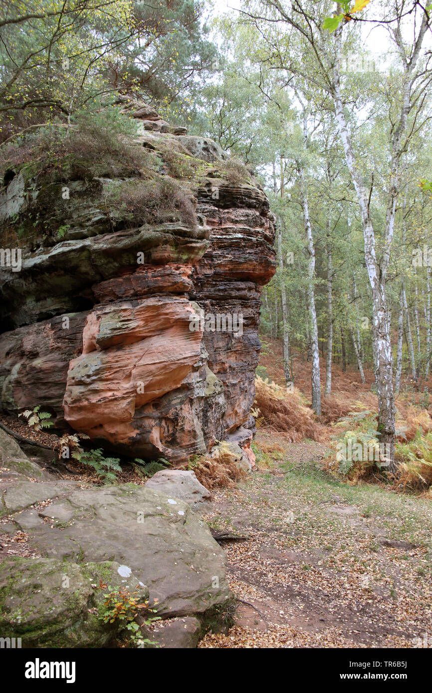 Formazione di roccia Katzensteine , in Germania, in Renania settentrionale-Vestfalia, Satzvey, Mechernich Foto Stock