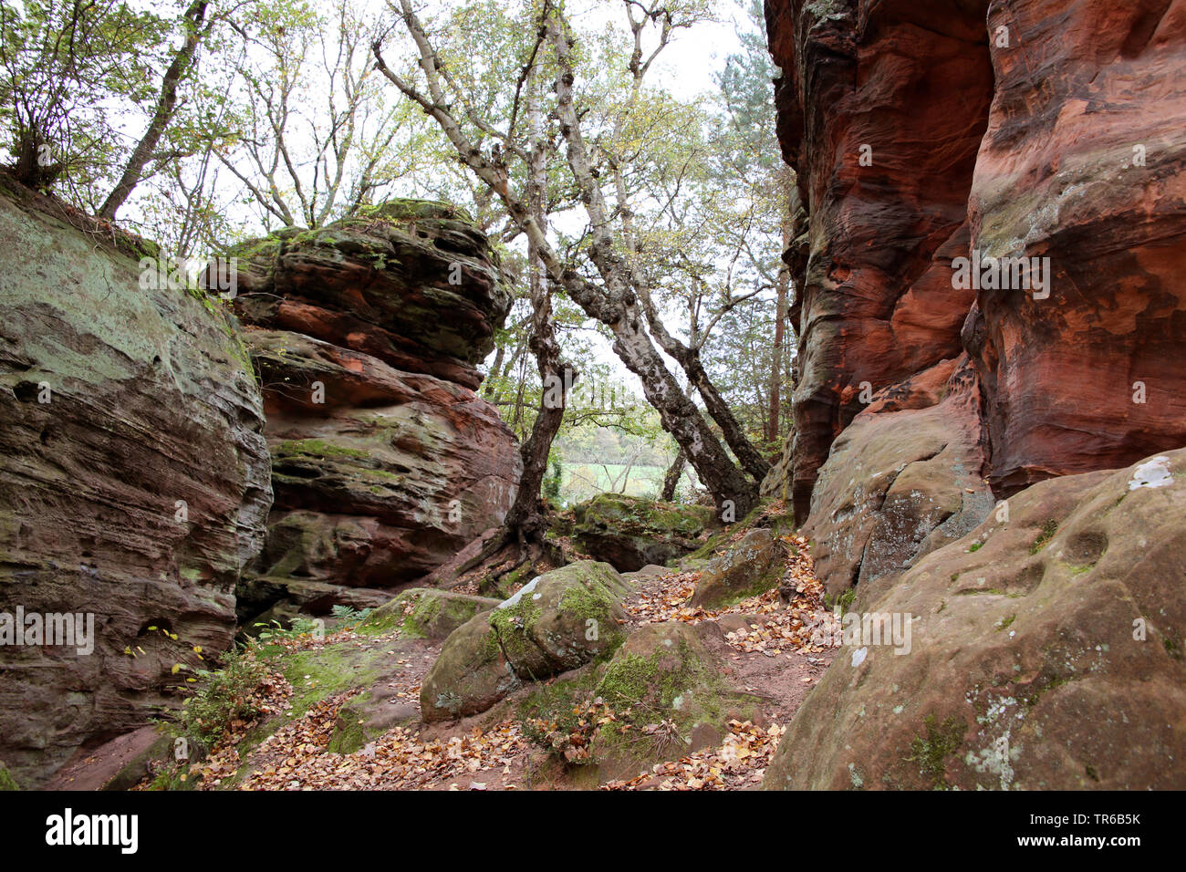 Formazione di roccia Katzensteine , in Germania, in Renania settentrionale-Vestfalia, Satzvey, Mechernich Foto Stock