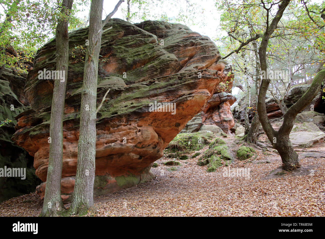 Formazione di roccia Katzensteine , in Germania, in Renania settentrionale-Vestfalia, Satzvey, Mechernich Foto Stock
