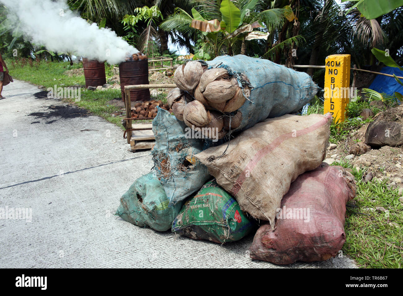 Carbone di legna dalla compilazione di gusci di noce di cocco sul ciglio della strada, Filippine, Sud Leyte, Panaon Isola, Pintuyan Foto Stock