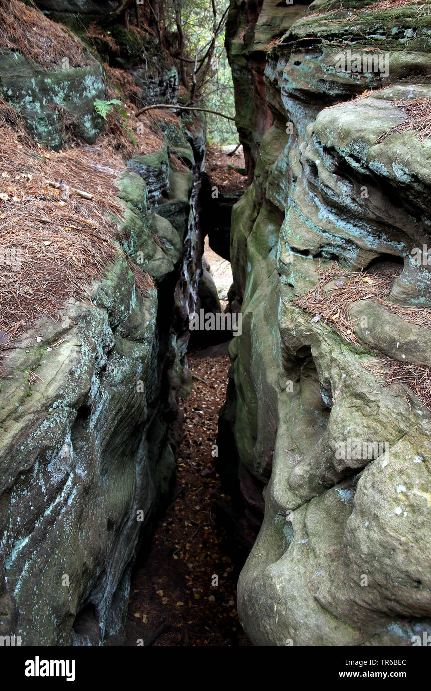 Monumento naturale Katzensteine, in Germania, in Renania settentrionale-Vestfalia, Katzvey, Mechernich Foto Stock