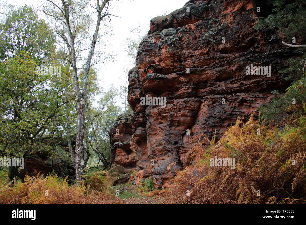 Monumento naturale Katzensteine, in Germania, in Renania settentrionale-Vestfalia, Katzvey, Mechernich Foto Stock