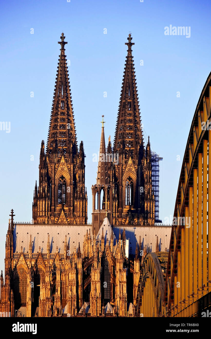 La cattedrale di Colonia nella luce del mattino, in Germania, in Renania settentrionale-Vestfalia, Colonia Foto Stock