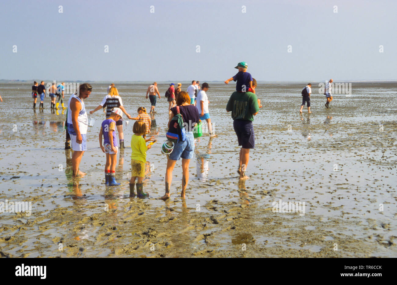 Tour guidato attraverso il fango appartamenti vicino a Nessmersiel, Germania, Bassa Sassonia, Bassa Sassonia il Wadden Sea National Park, Nessmersiel Foto Stock