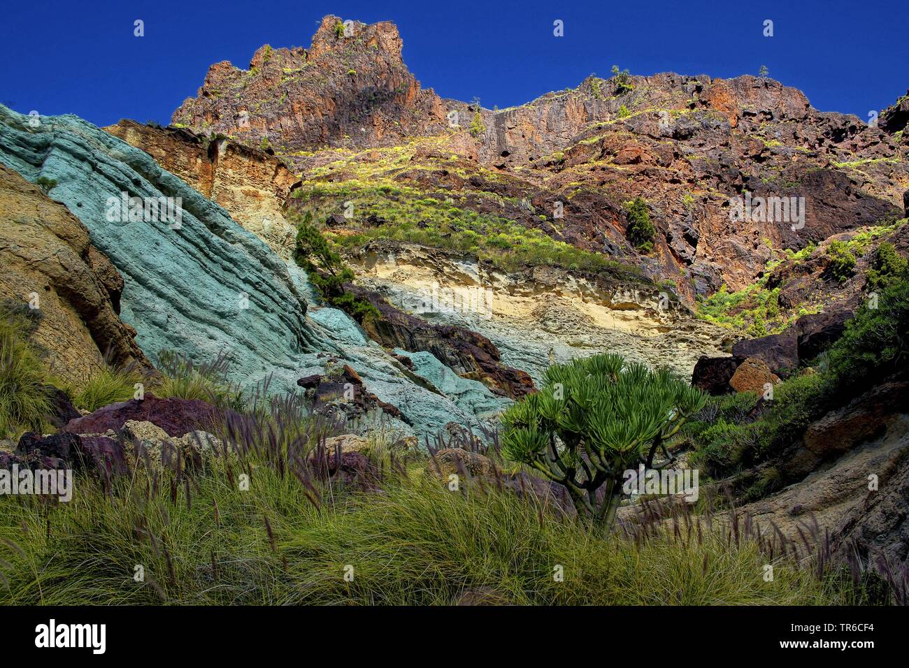 Colorate formazioni rocciose azulejos, Isole Canarie, Gran Canaria, Veneguerra Foto Stock