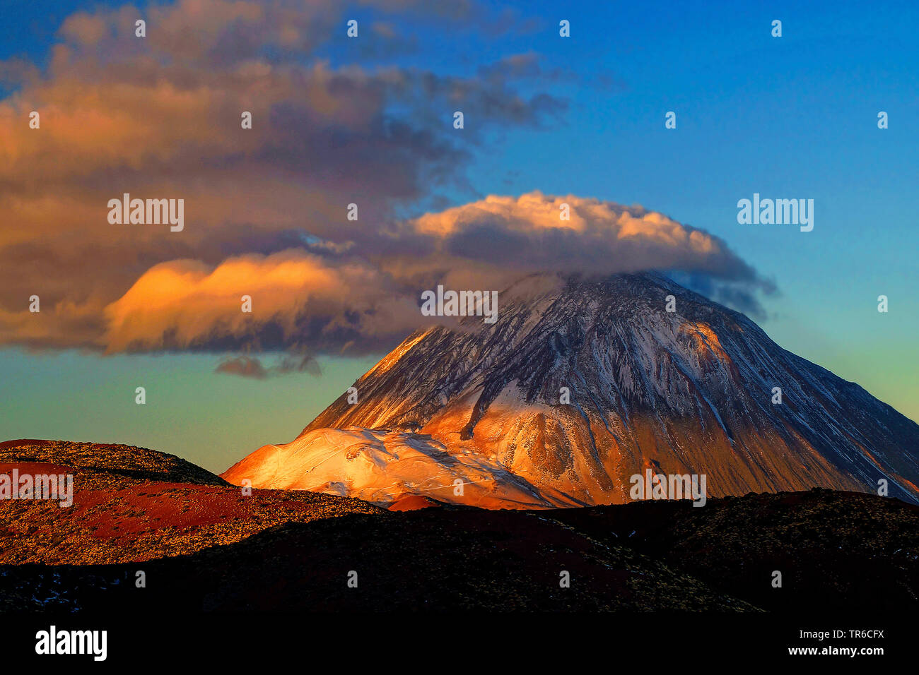 Vulcano Teide nella luce del mattino, Isole Canarie, Tenerife, Parco Nazionale del Teide Foto Stock