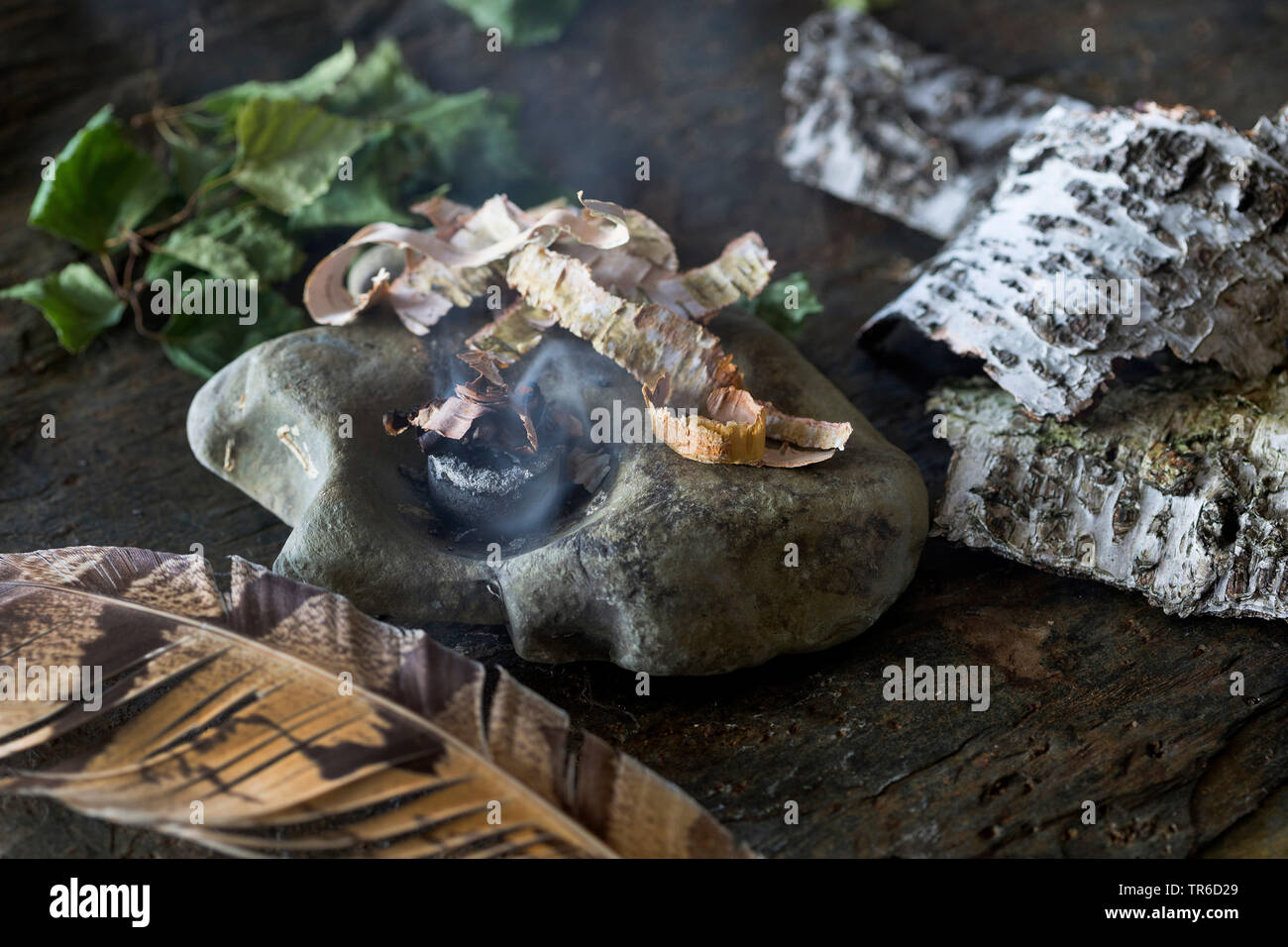 Bruning della corteccia di betulla su una pietra, Germania Foto Stock