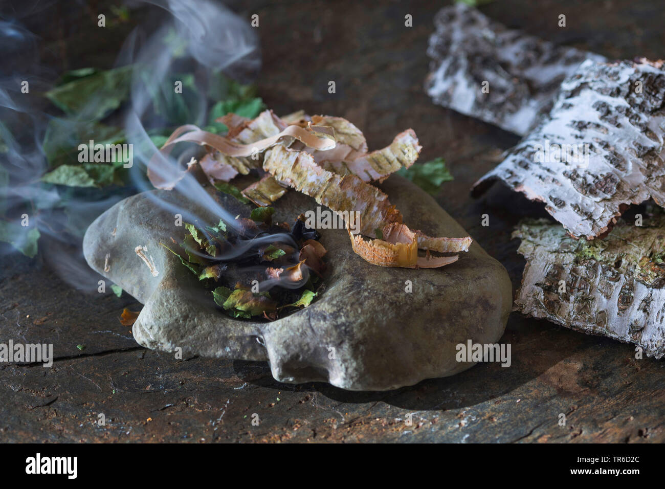 Bruning della corteccia di betulla su una pietra, Germania Foto Stock