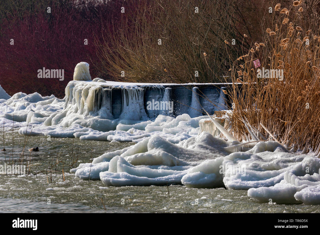 Onde di ghiaccio e sculture di ghiaccio sulla riva dopo la tempesta di neve, in Germania, in Baviera, il Lago Chiemsee Foto Stock