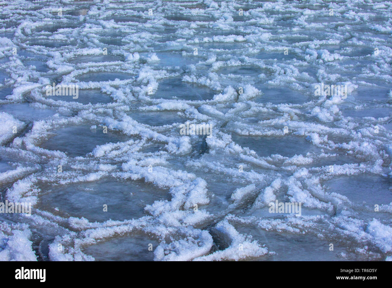 Weirdly sagomato floes di ghiaccio in una baia dopo una tempesta di neve, in Germania, in Baviera, il Lago Chiemsee Foto Stock