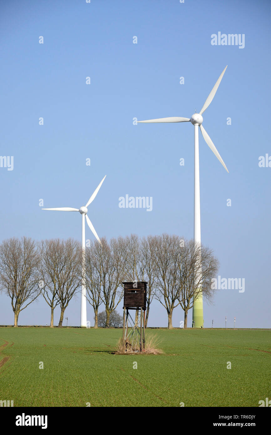 Paesaggio di campo con aumentata nascondere, Fila di alberi e ruote del vento in primavera, in Germania, in Renania settentrionale-Vestfalia Foto Stock