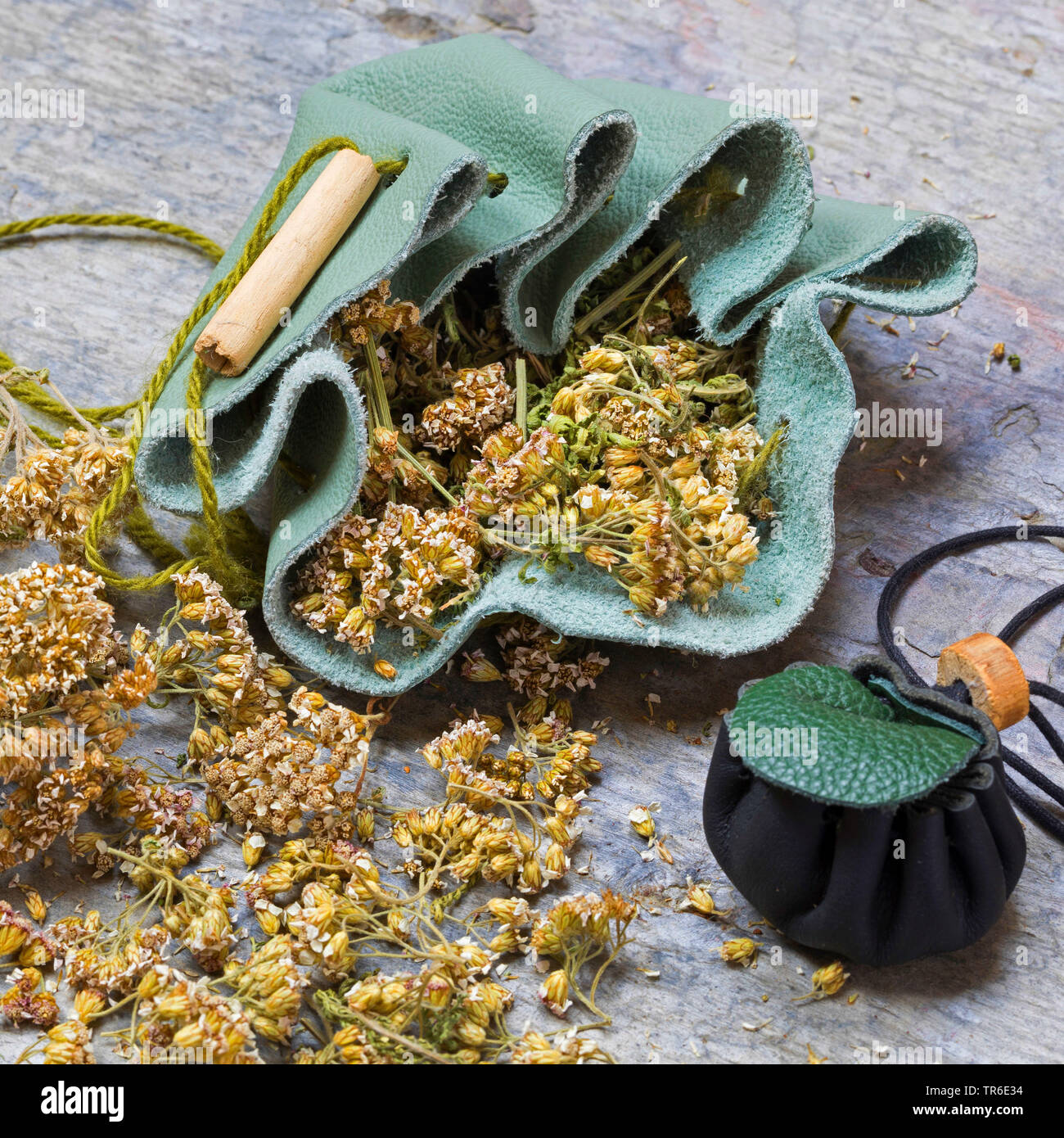 Yarrow, comune yarrow (Achillea millefolium), medicina selfmade sacca, Germania Foto Stock