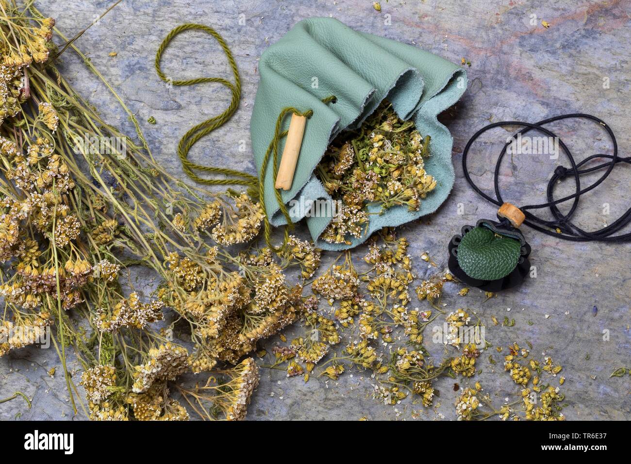 Yarrow, comune yarrow (Achillea millefolium), medicina selfmade sacca, Germania Foto Stock