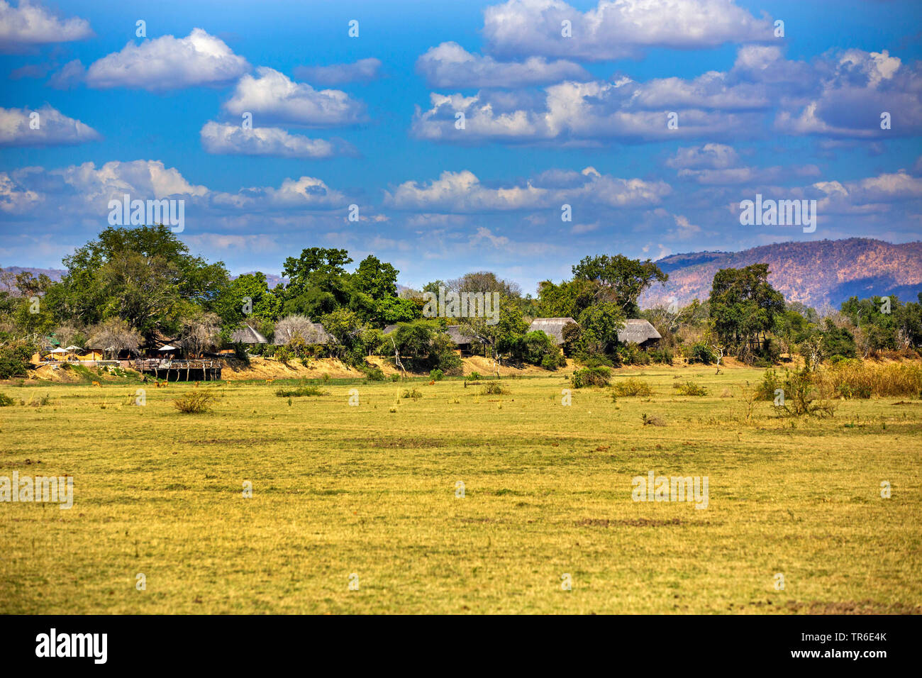 Kafunta River Lodge, Zambia, Sud Luangwa National Park Foto Stock