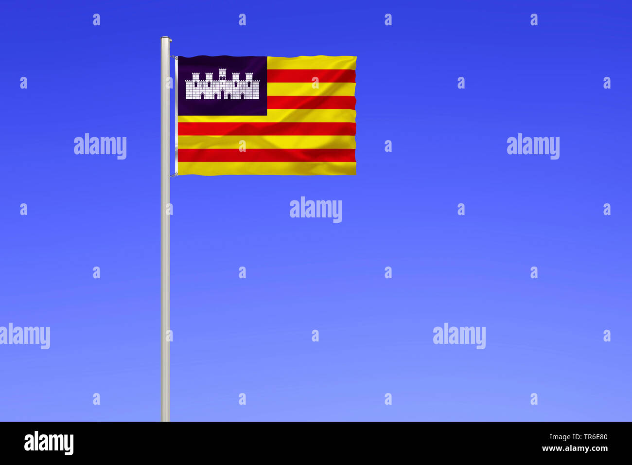 Bandiere catalano, dimostrazione Promozione della lingua catalana nelle  Isole Baleari, Palma di Maiorca, SPAGNA Foto stock - Alamy