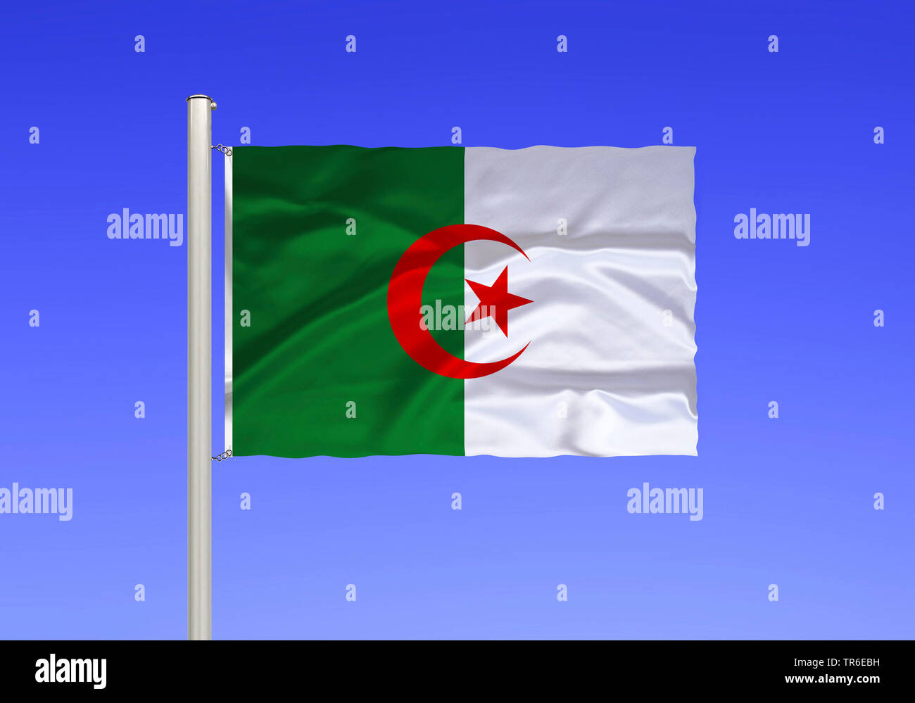 Bandiera di Algeria contro il cielo blu, Algeria Foto Stock