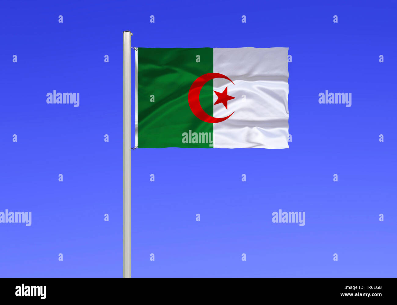 Bandiera di Algeria contro il cielo blu, Algeria Foto Stock