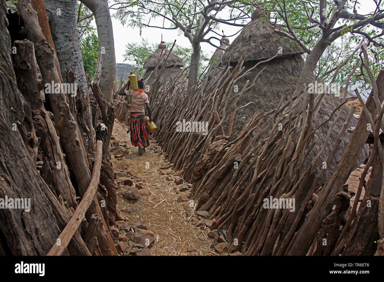 La griglia di protezione, Etiopia, Konzo Foto Stock