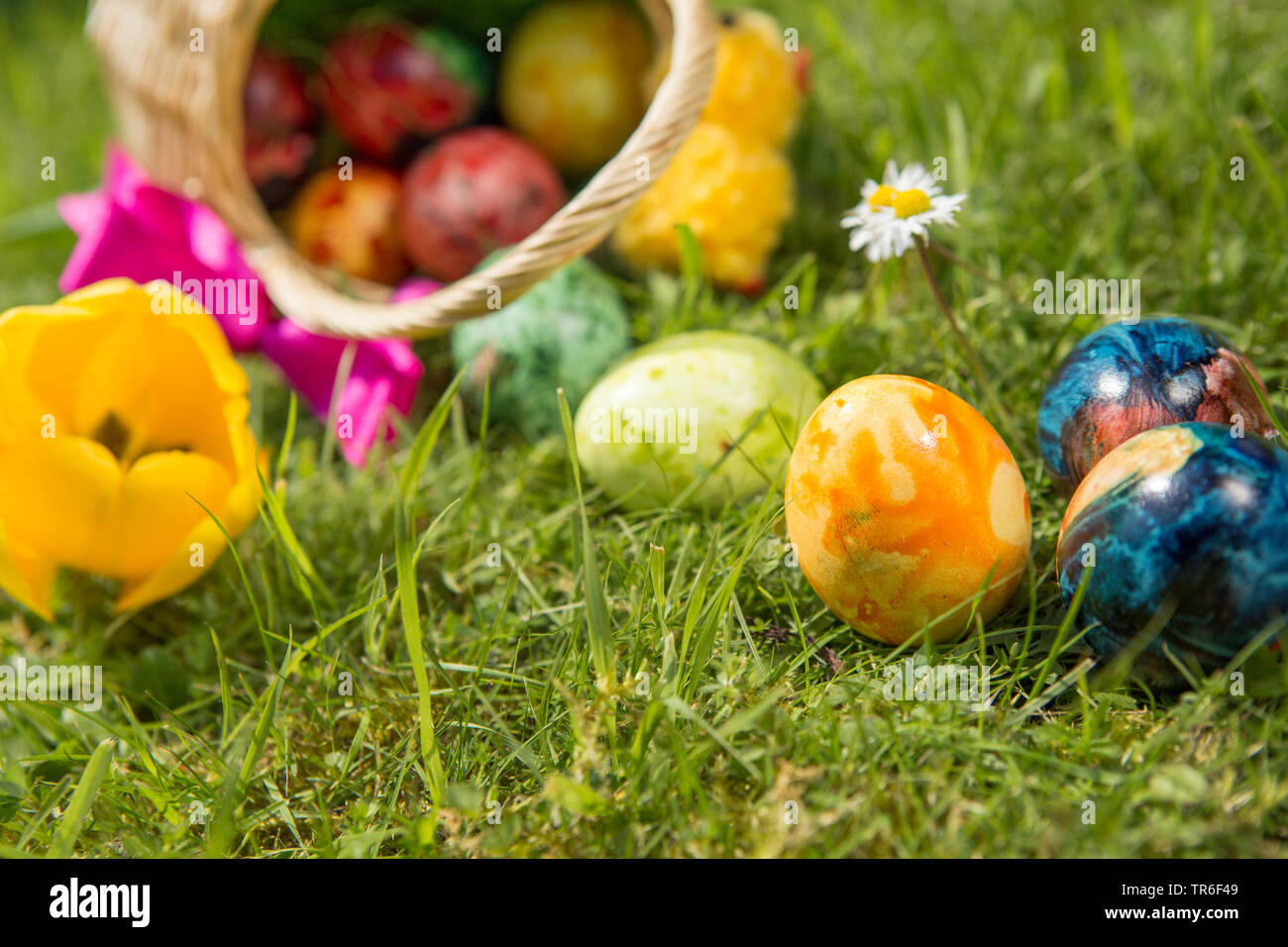 Ribaltata cesto di Pasqua e uova di Pasqua in un prato, Germania Foto Stock